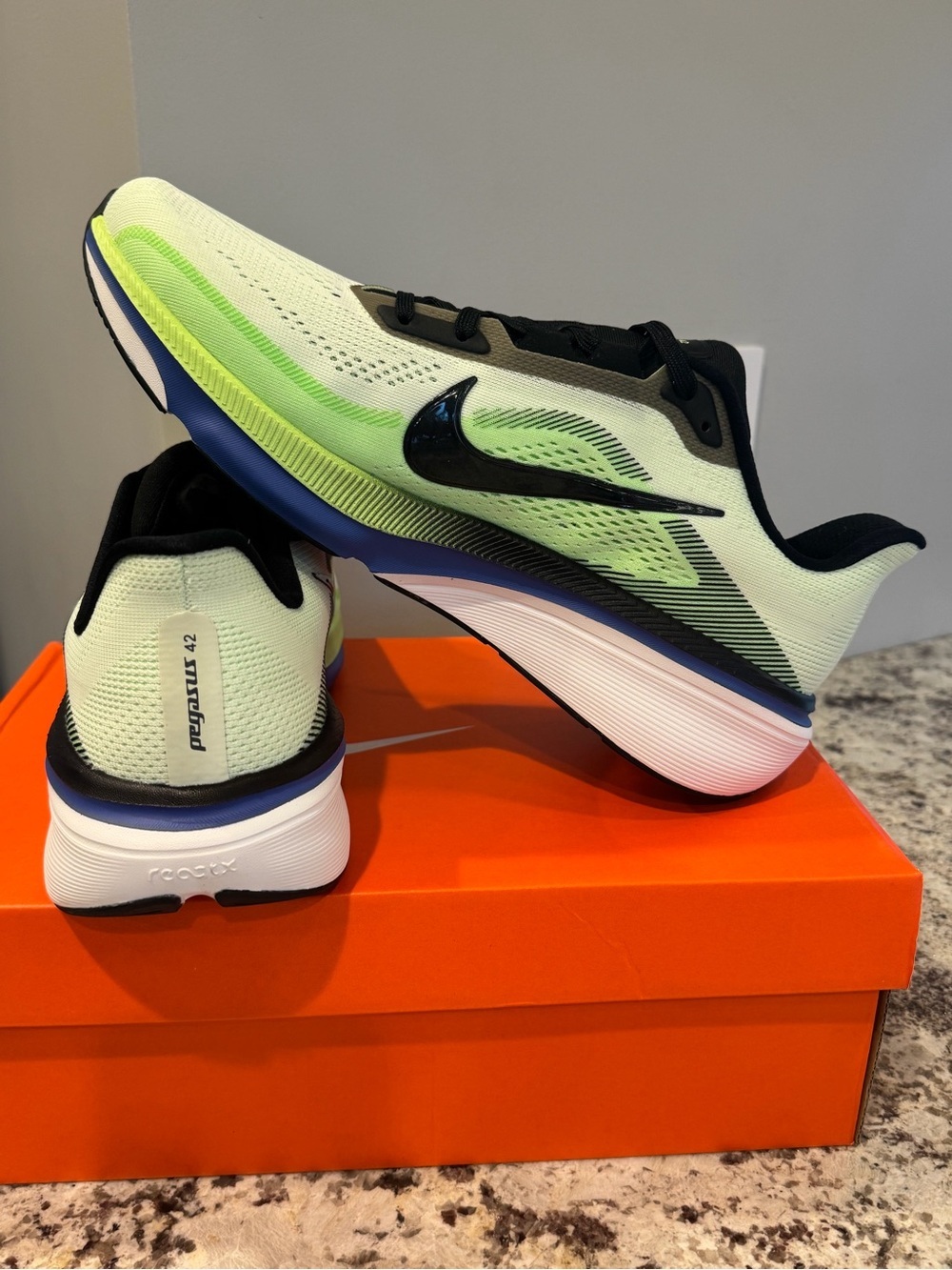 Mens Nike Pegasus 42